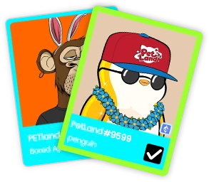 Select the NFT display your game